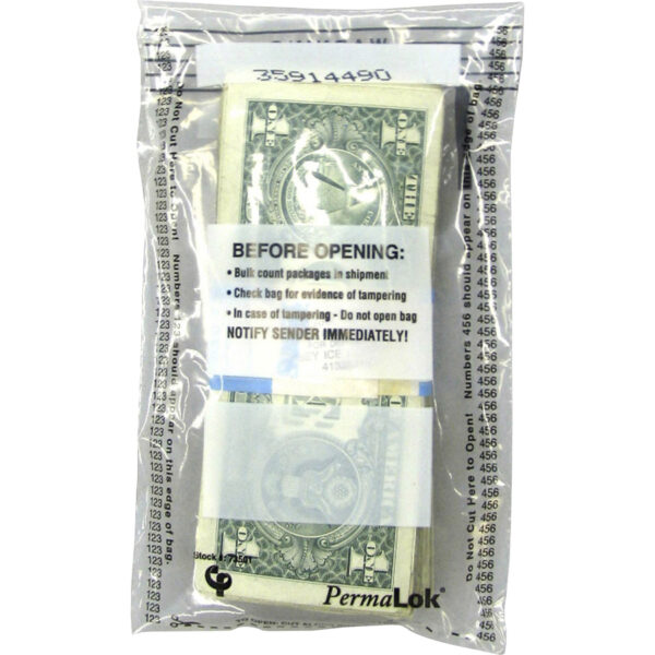Sparco Perforated Blank Computer Paper