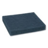 All-Purpose Scouring Pad 9000, 4 x 5.25, Blue, 40/Carton