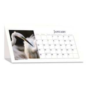 Earthscapes Recycled Desk Tent Monthly Calendar, Wildlife Photography, 8.5 x 4.25, White Sheets, 12-Month (Jan to Dec): 2025