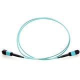 Axiom MPO Male/MPO Male Multimode OM3 50/125 Fiber Optic Cable - 15m