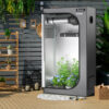 36 x 20 x 63 Inch Indoor Grow Room with Observation Window-Gray
