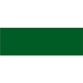 Tape Logic® Rectangular Inventory Paper Labels 9""L x 3""W Green Roll of 250