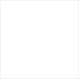 Tape Logic® Rectangular Inventory Paper Labels 4""L x 4""W White Roll of 500