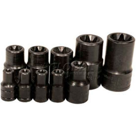 Socket 1/4"" Drive E6 External Torx