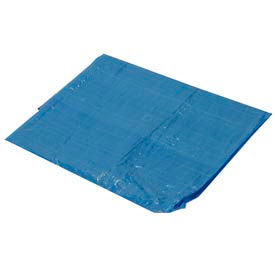 4' x 6' Light Duty 2.9 oz. Tarp Blue - B4x6