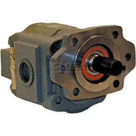 Hydrastar H50 Series Hydraulic Pump H5036203 2/4 Bolt 2500 Max Pressure 1"" Keyed 1/4 KW Shaft