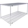 Nexel® 2 Shelf Chrome ESD Wire Shelving Unit Starter 72""W x 36""D x 34""H