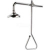 Speakman SE-227-SS Lifesaver® Emergency Shower