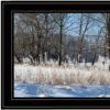 Natures Simple Blessings 2 Black Framed Print Wall Art