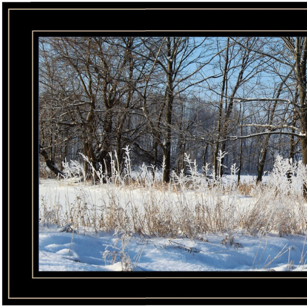 Natures Simple Blessings 2 Black Framed Print Wall Art