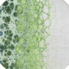 8' Green And Mint Green Round Abstract Washable Indoor Outdoor Area Rug
