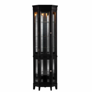 Elegant Black Lighted Curio Cabinet
