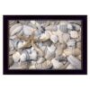 Starfish And Seashell 1 Black Framed Print Wall Art