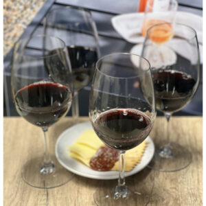 Set of Four Clear Tritan Plastic Stemmed All Purpose Wine Glass