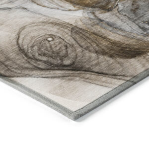 2' X 3' Brown Abstract Washable Non Skid Indoor Outdoor Area Rug